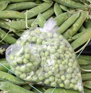 frozen-peas-not-required-with-new-vasectomy-procedure