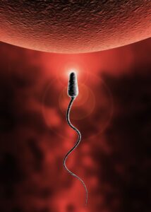 failed-vasectomy-is-not-common-with-modern-minimally-invasive-vasectomy