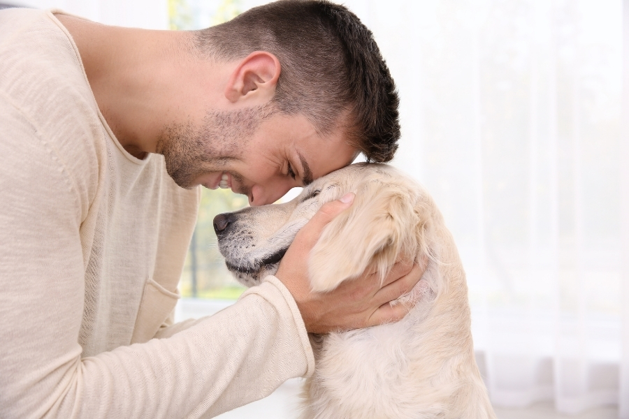 pet or child after vasectomy