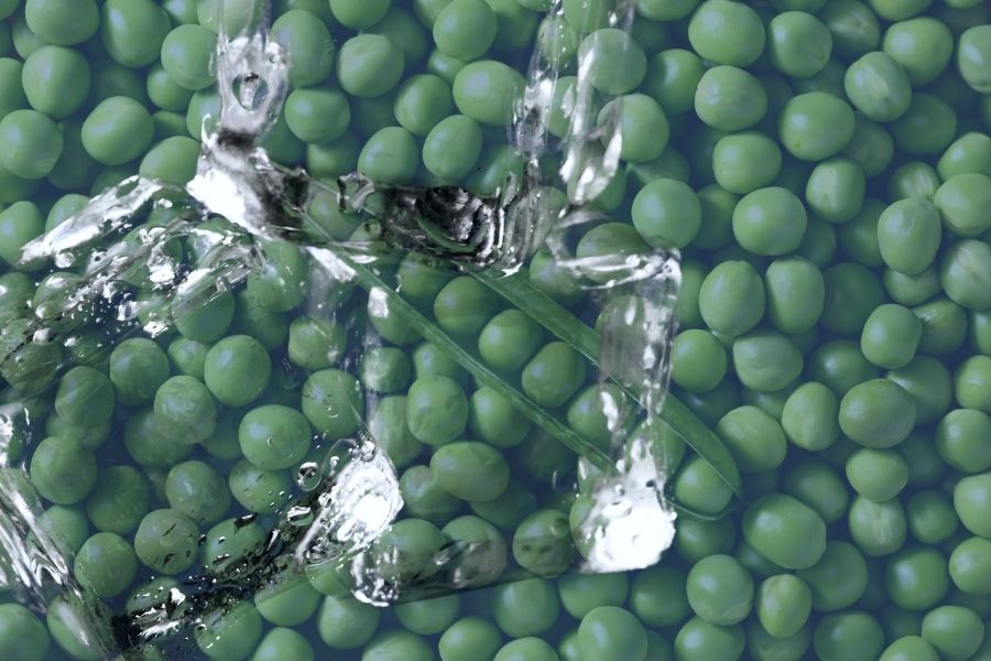 Frozen Peas or Ice Packs After a Vasectomy
